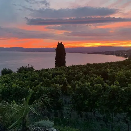 Le Petit Paradis